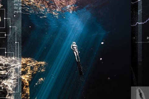 person floating to the surface of a big body of water