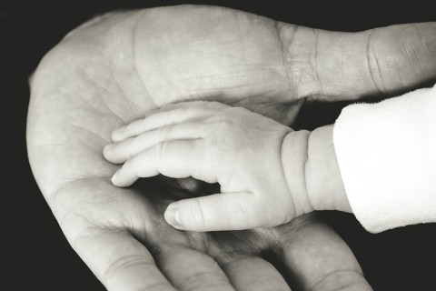 baby hand in adult hand