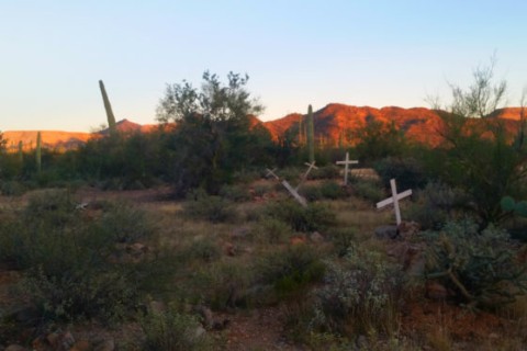 crosses for migrant deaths