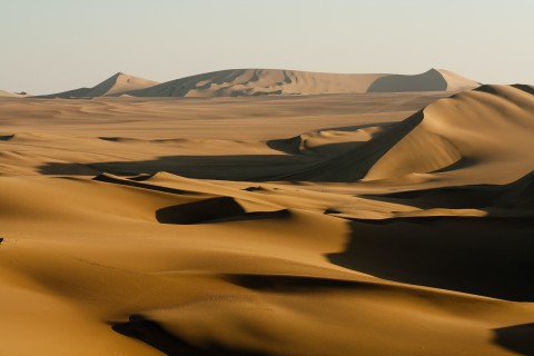 desert